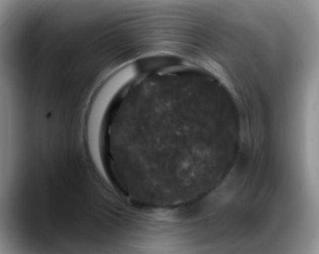 X0000088881226200706151805