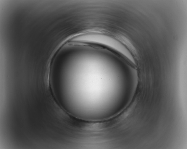 X0000088881228200706151805