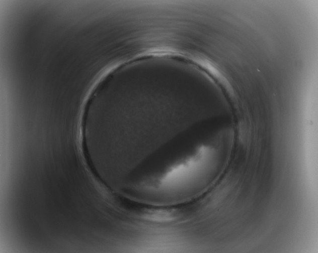 X0000088881229200706151805