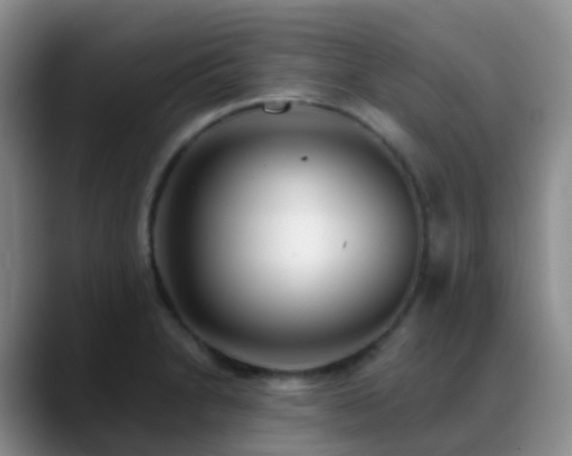 X0000088881230200706151805