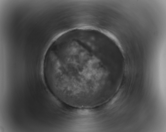 X0000088881231200706151805