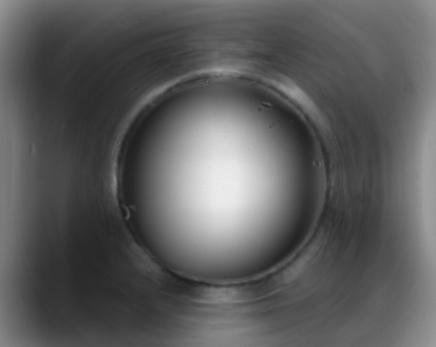 X0000088881232200706151805