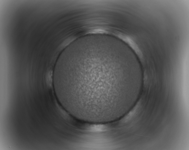 X0000088881233200706151805