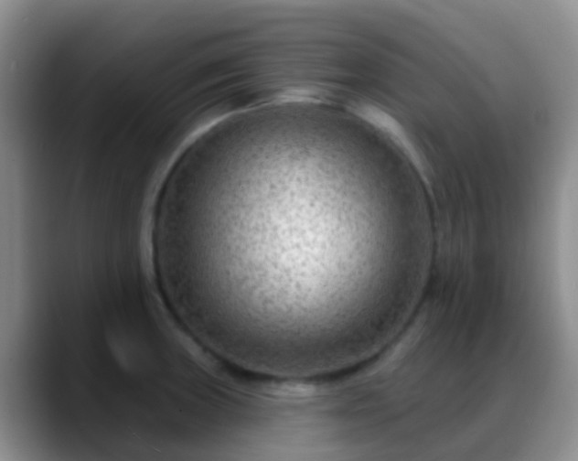 X0000088881235200706151805