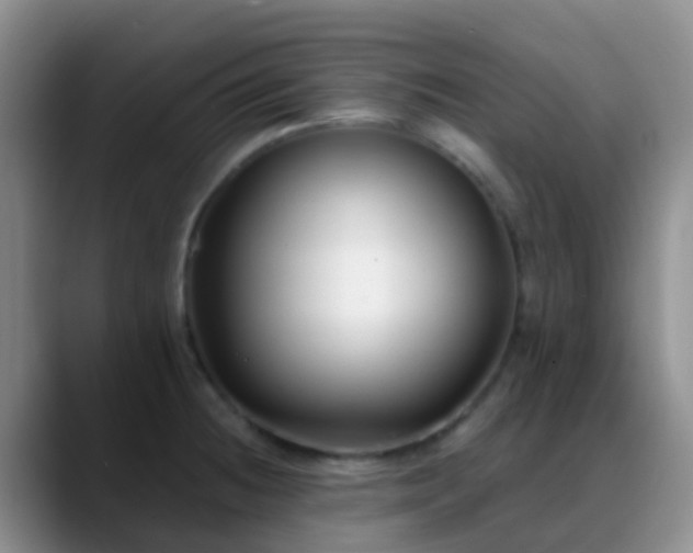 X0000088881236200706151805