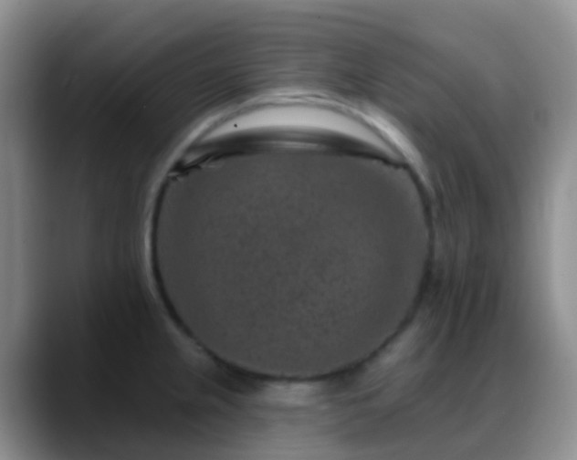 X0000088881237200706151805