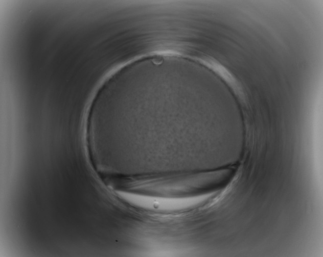 X0000088881240200706151805