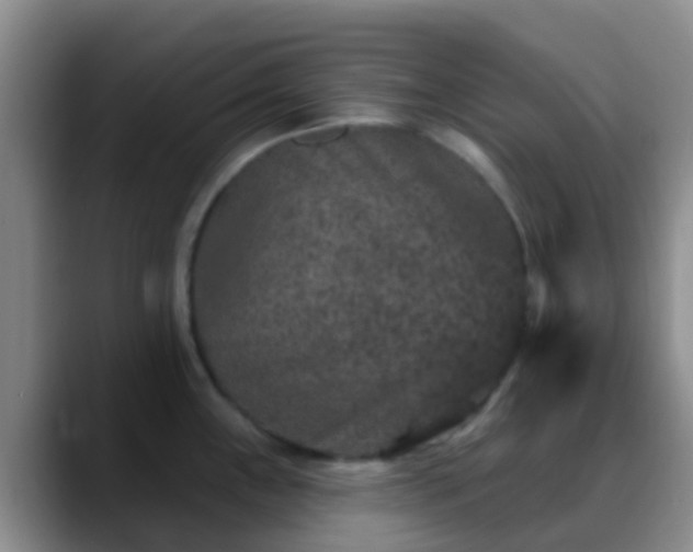 X0000088881243200706151806