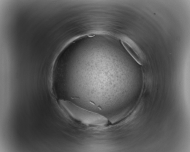 X0000088881244200706151806