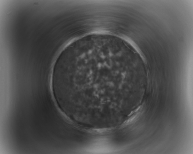 X0000088881245200706151806