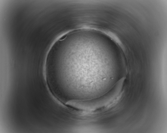 X0000088881247200706151806