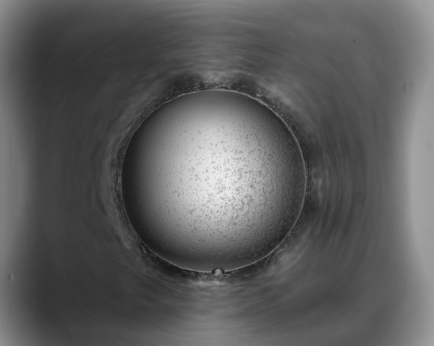 X0000088881249200706151805