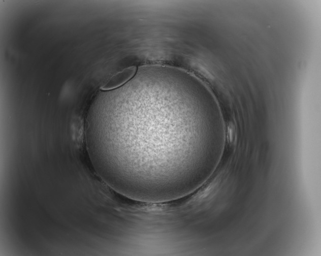 X0000088881251200706151805