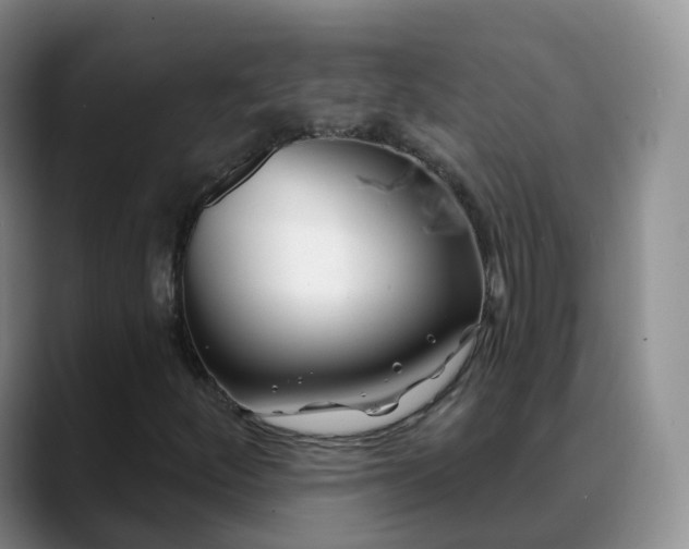 X0000088881252200706151805