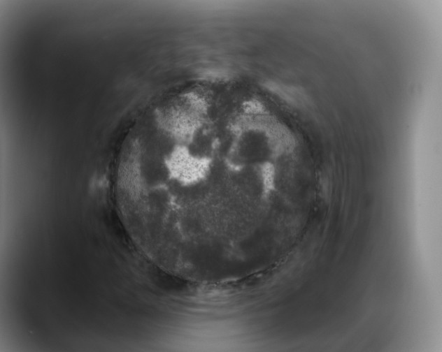 X0000088881254200706151805