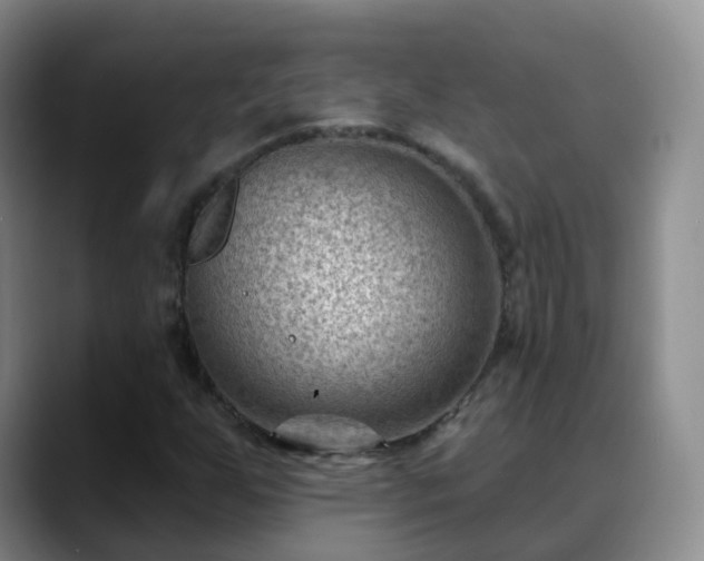 X0000088881255200706151805