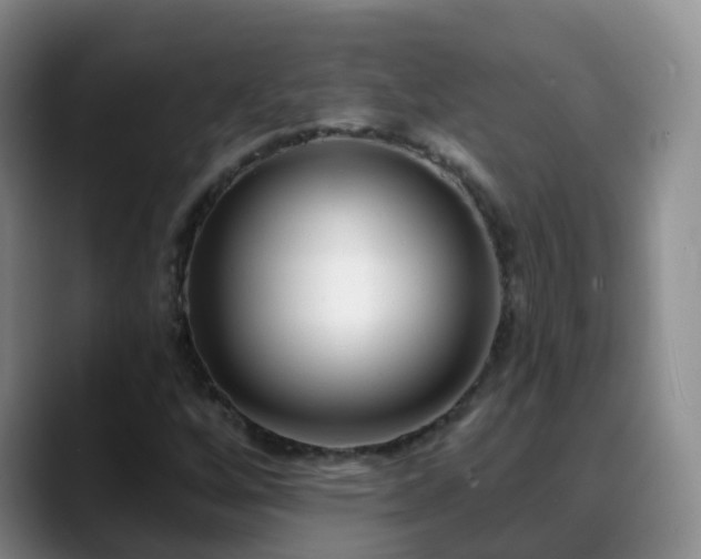 X0000088881256200706151805