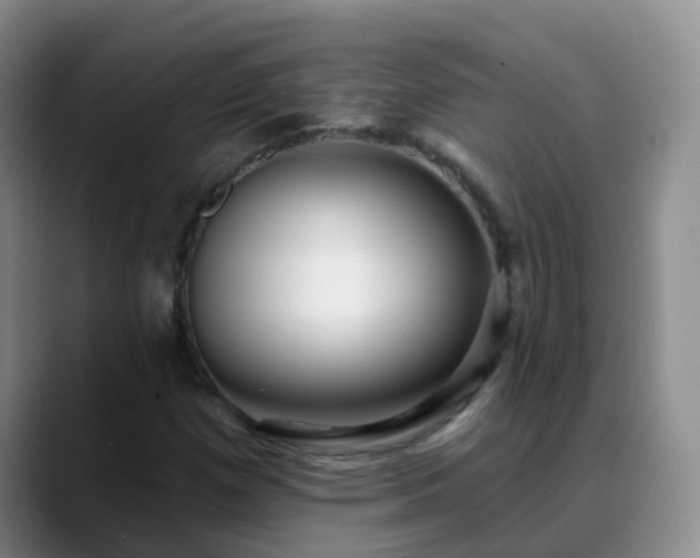 X0000088881257200706151805