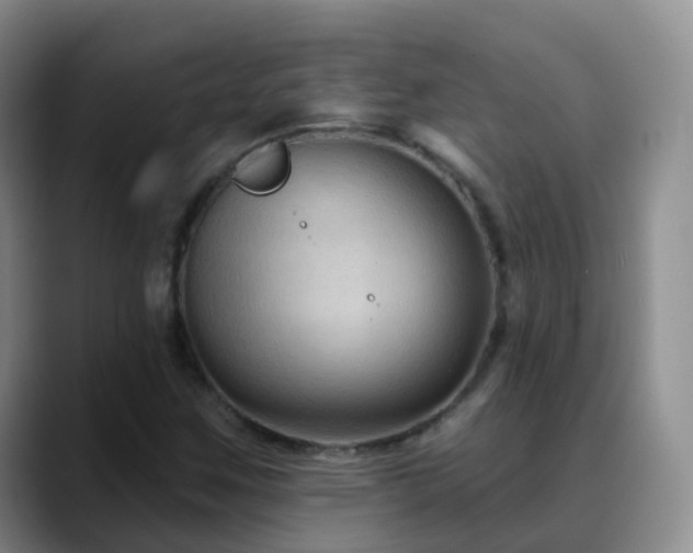 X0000088881259200706151805