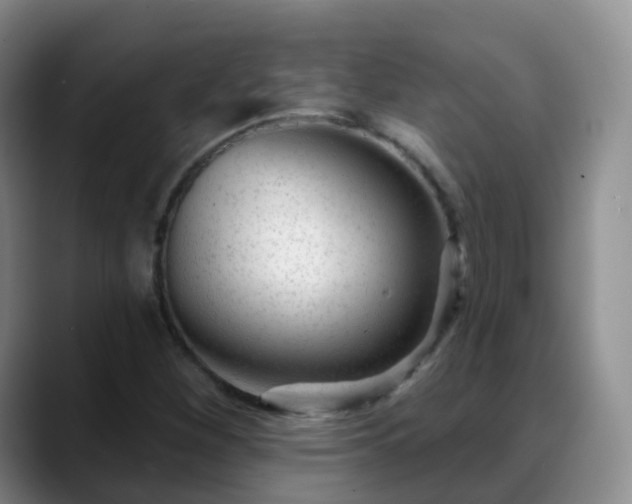 X0000088881260200706151805