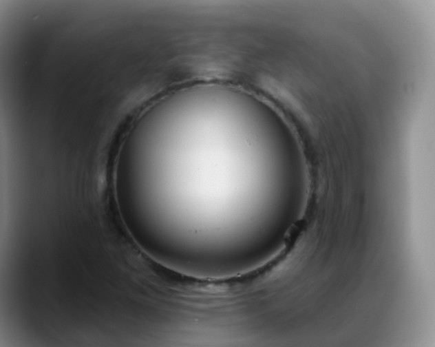 X0000088881261200706151805