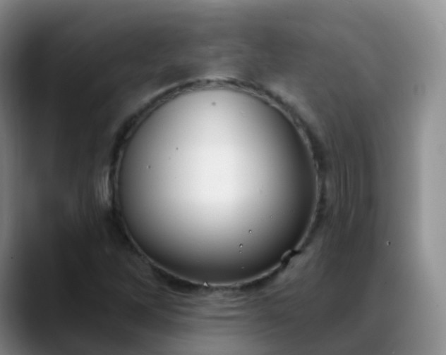 X0000088881262200706151805