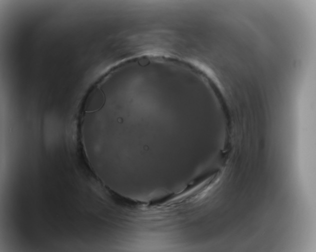 X0000088881263200706151805