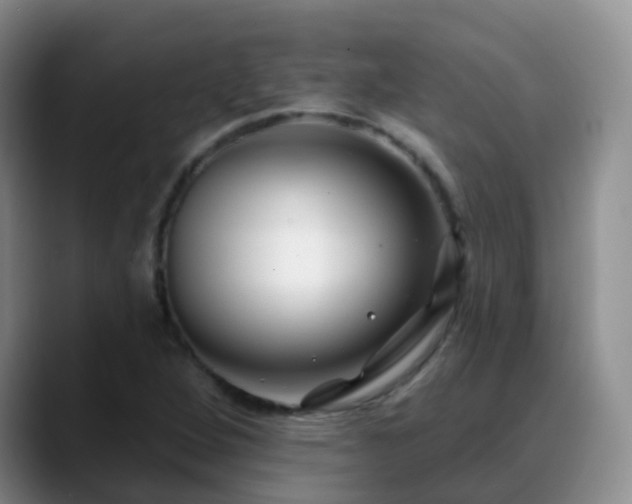 X0000088881264200706151805