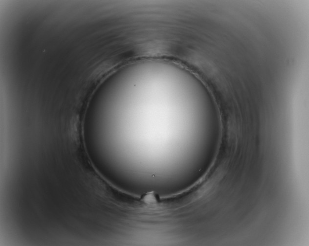 X0000088881265200706151805