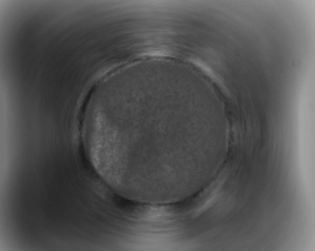 X0000088881266200706151805