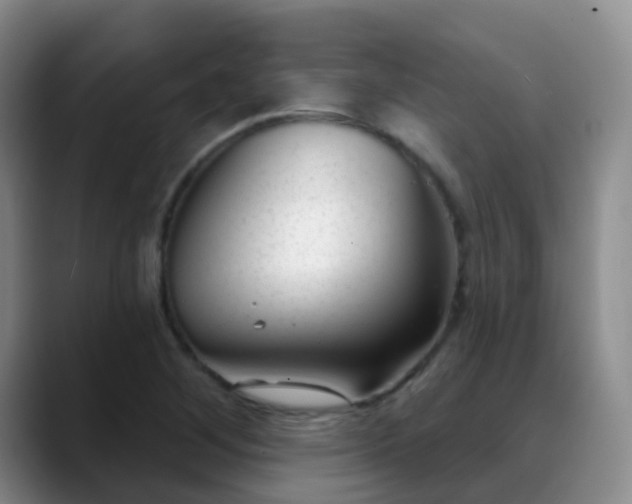 X0000088881268200706151805