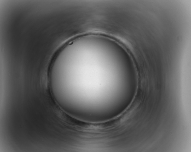 X0000088881271200706151805