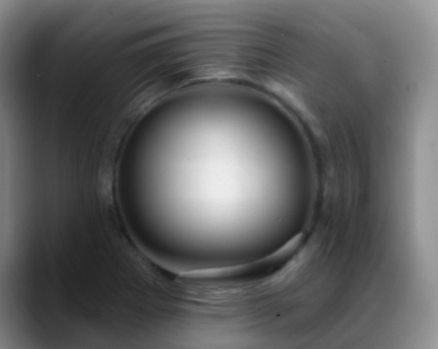 X0000088881273200706151805