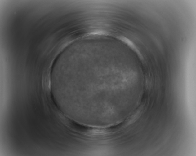 X0000088881274200706151805