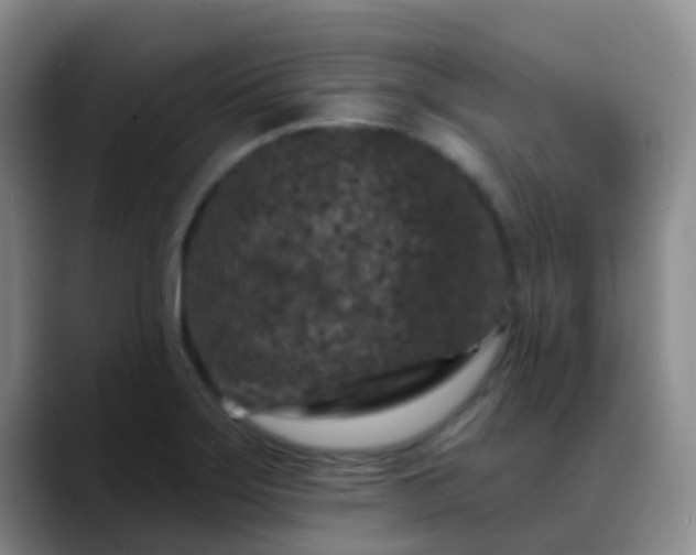 X0000088881275200706151805