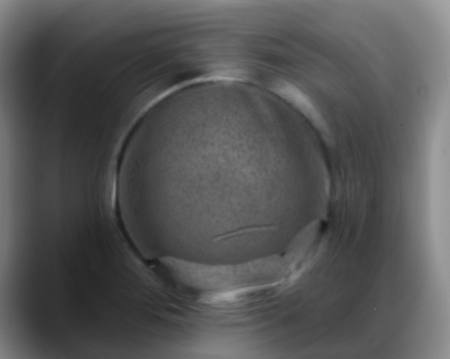 X0000088881276200706151805