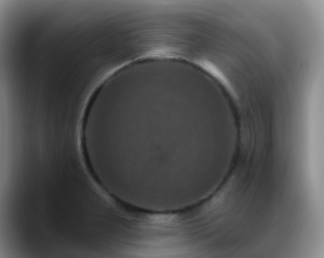 X0000088881277200706151805