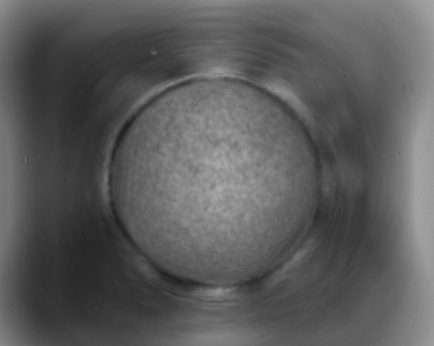 X0000088881278200706151805