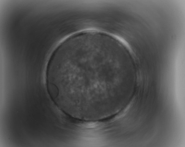 X0000088881279200706151805