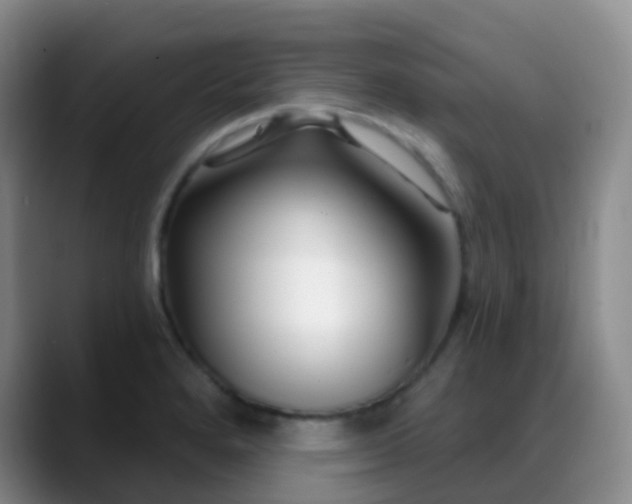 X0000088881280200706151805