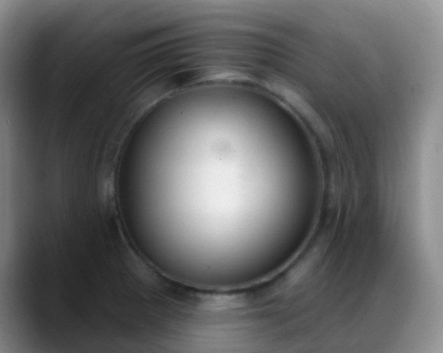 X0000088881281200706151805