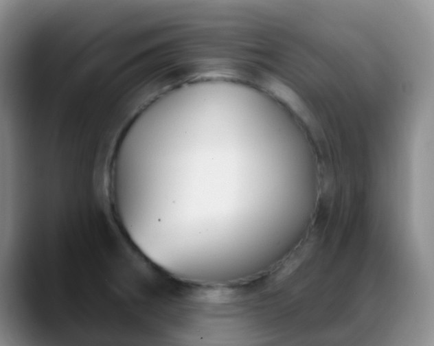 X0000088881282200706151805