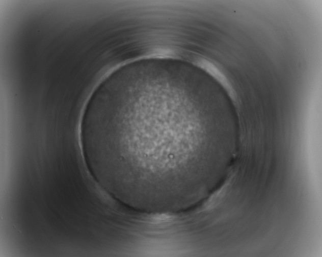 X0000088881283200706151805