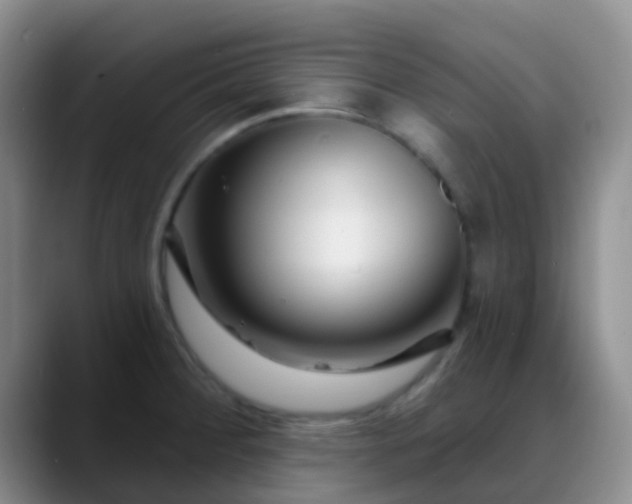 X0000088881284200706151805