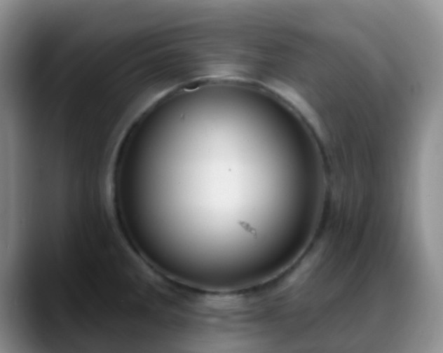 X0000088881285200706151805