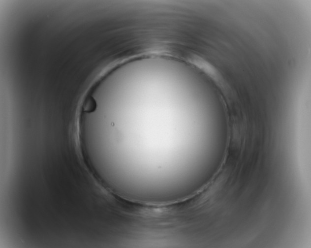 X0000088881286200706151805