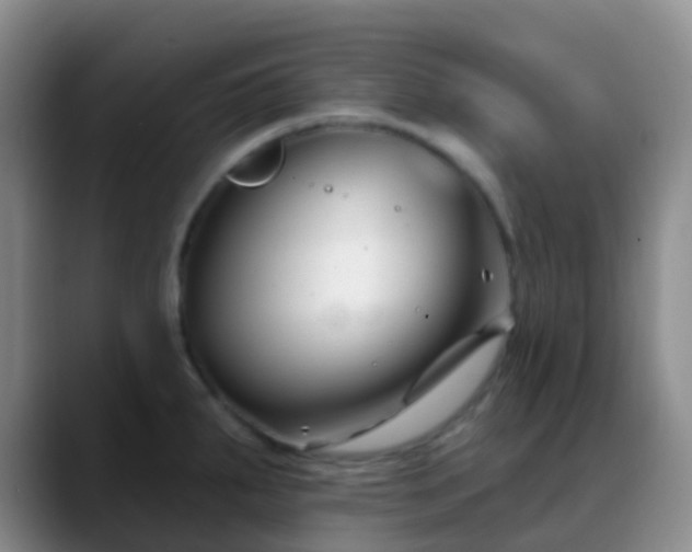 X0000088881287200706151805