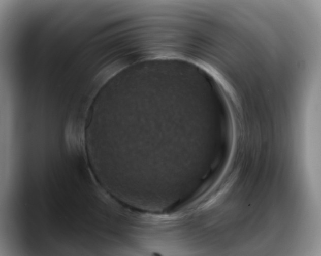 X0000088881289200706151805