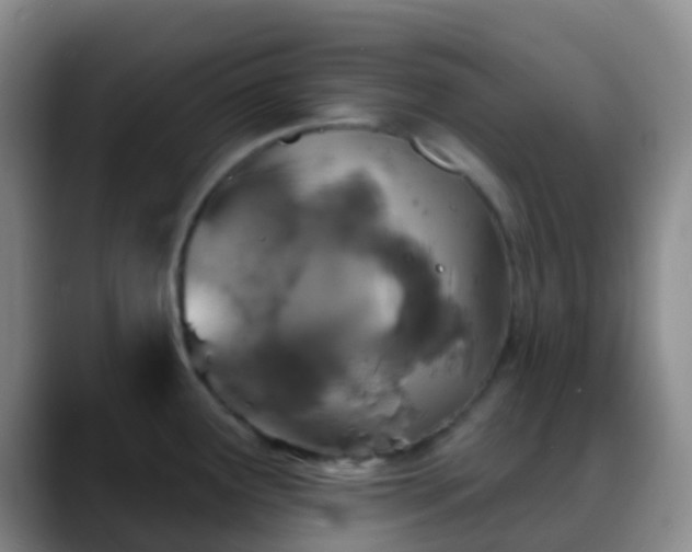 X0000088881291200706151805