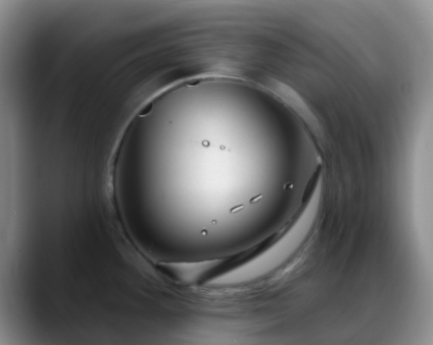 X0000088881292200706151805